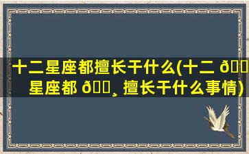 十二星座都擅长干什么(十二 🍀 星座都 🕸 擅长干什么事情)